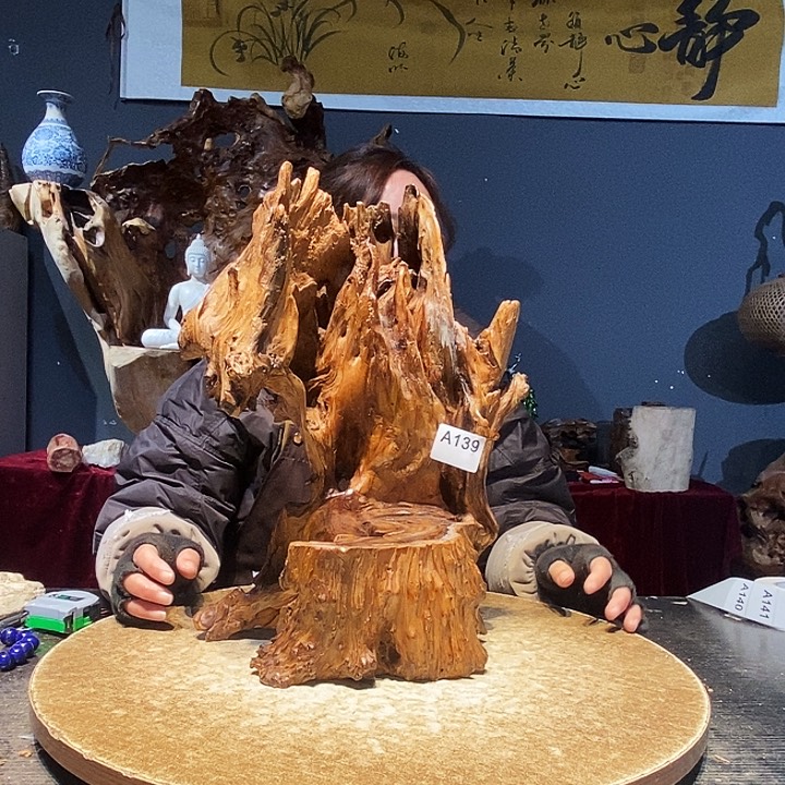 宜*…139株木的随行的根艺