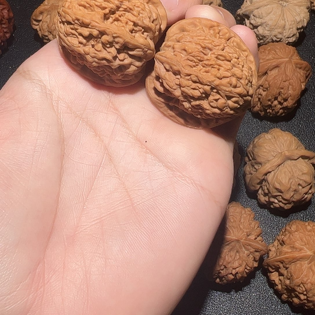 阳***.全品35尺蚂蚁沟包邮
