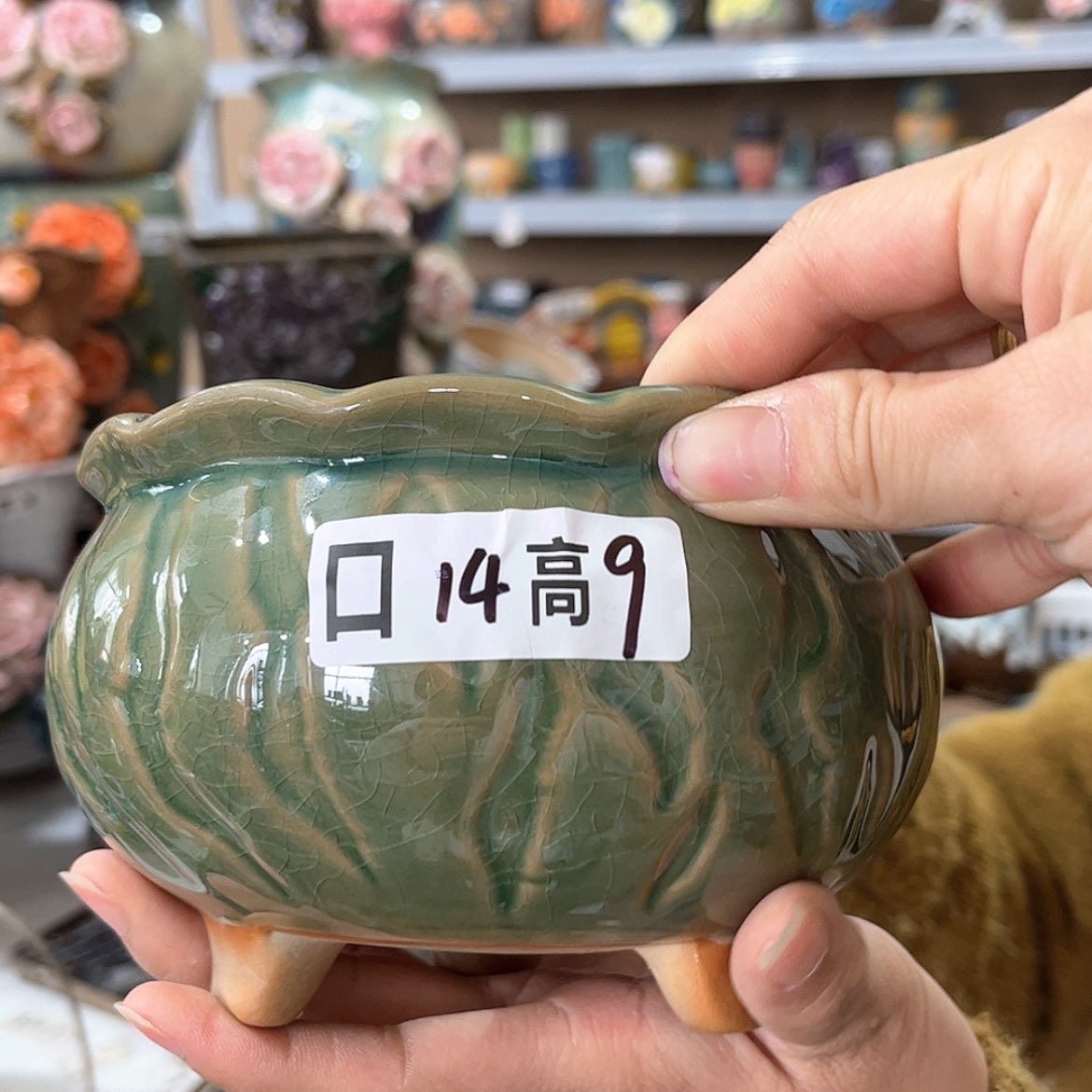 【闪购商品】红陶福利
