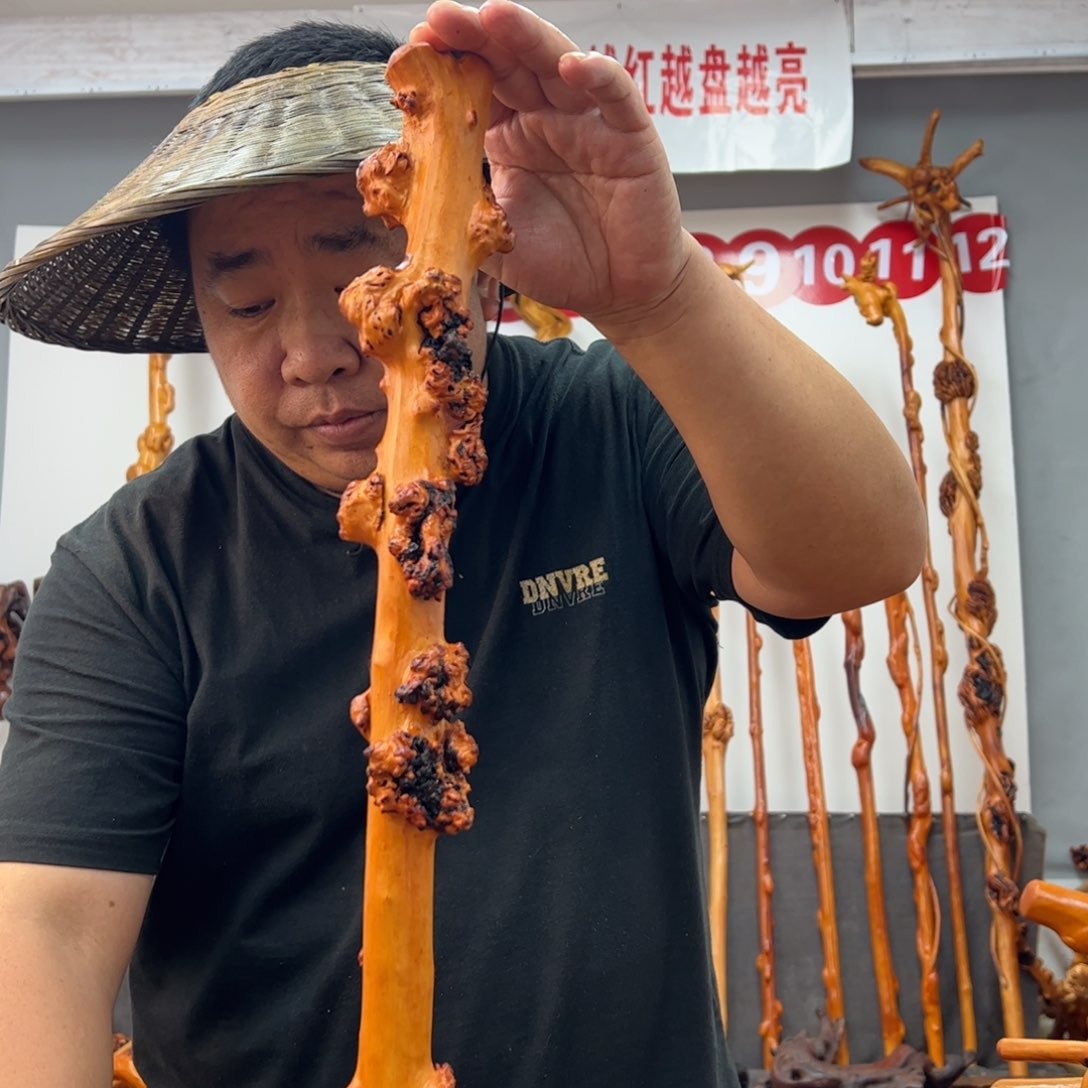 黑果木其他黑果木566