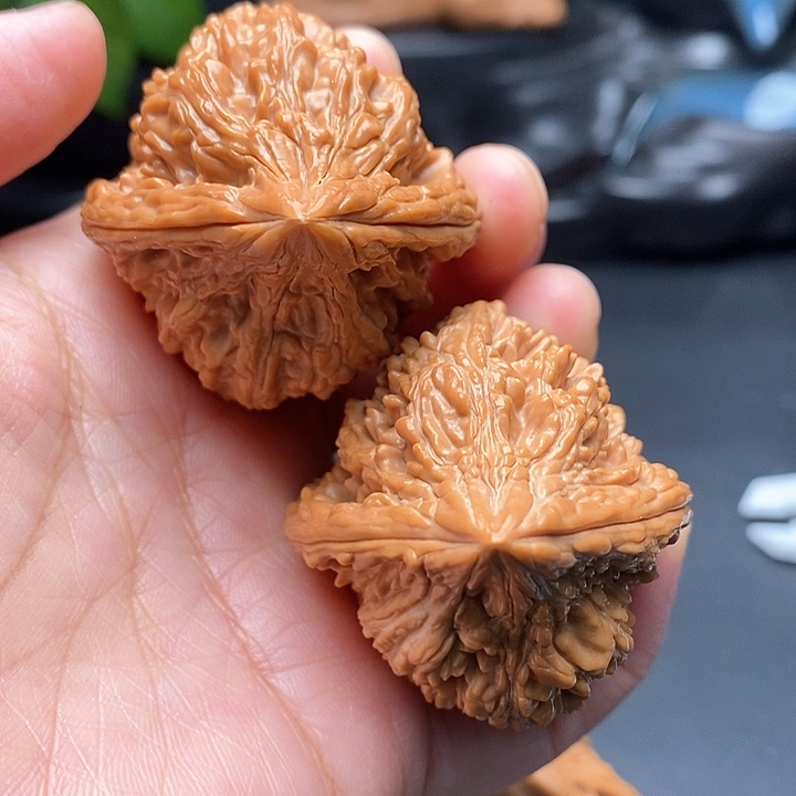文玩核桃把件鸭嘴兽