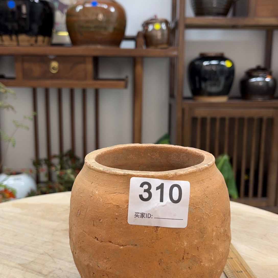 团***爱1开播福利小罐310号