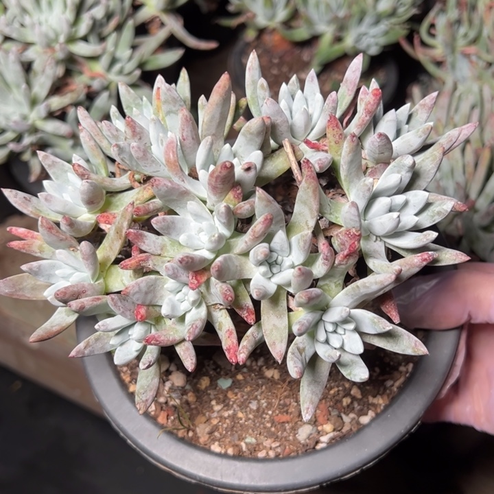 902哈哈哈哈哈哈哈哈哈