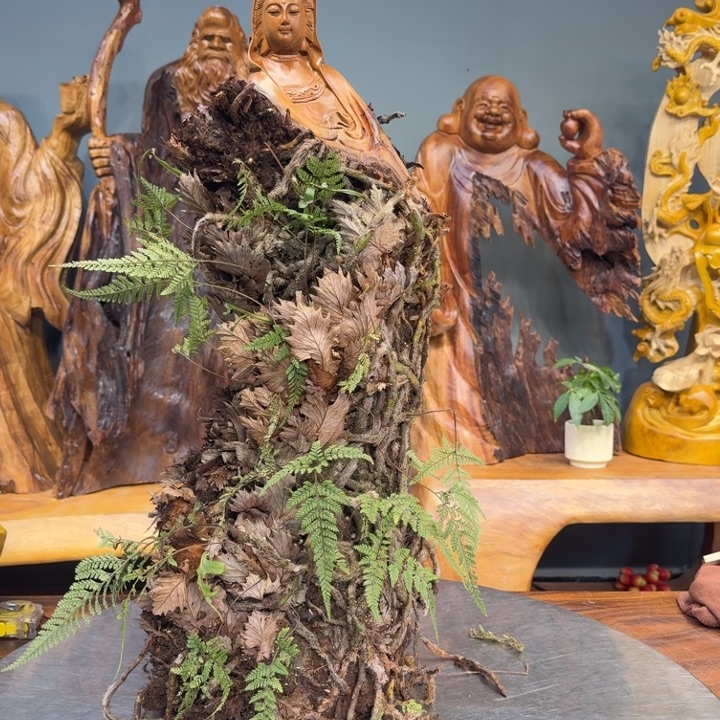 合***机香樟木长8888888888