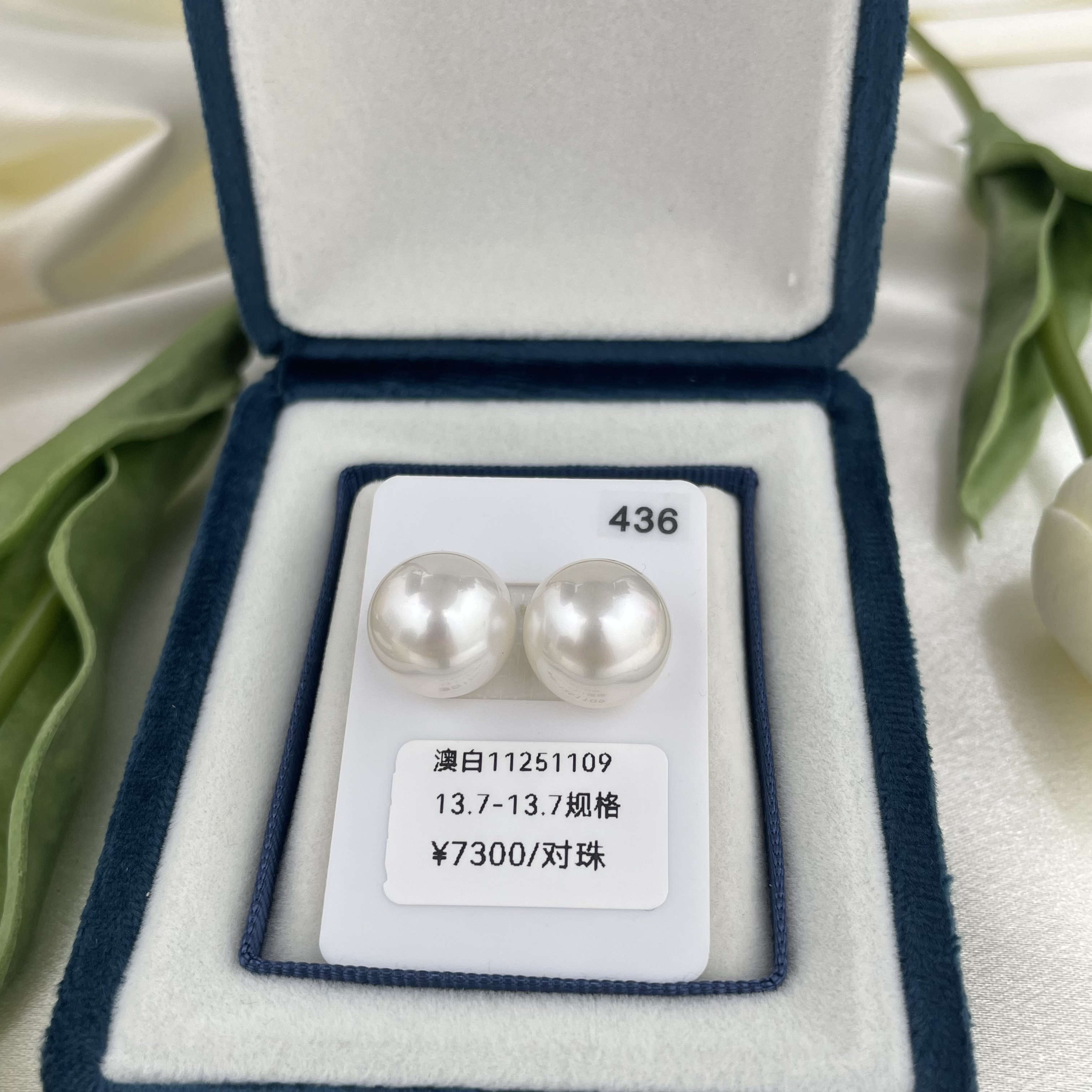 【珞芙珍珠】13.7-13.7mm澳白海水珍珠对珠 冷白光滑皮细腻大点位