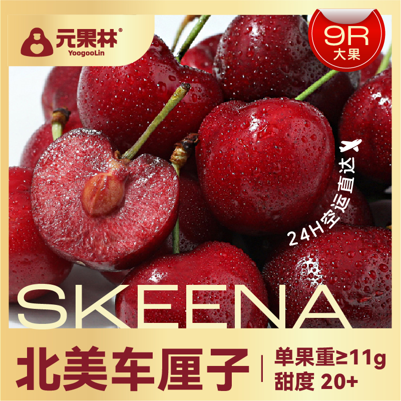 Skeena 斯基纳车厘子美国华盛顿州直飞航空冷舱空运