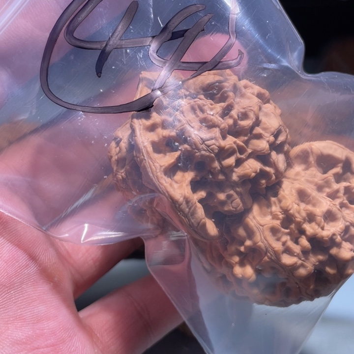 文玩核桃吊坠44呃呃呃