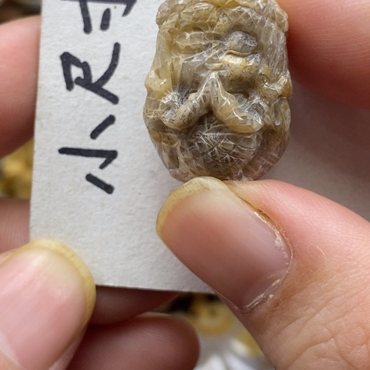硅化珊瑚（珊瑚玉）未镶嵌颈饰
