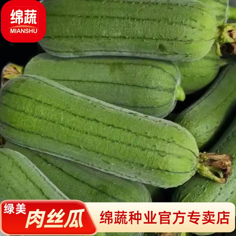 绵蔬【绿美肉丝瓜】丝瓜种子生长快好种植产量高夏季秋播适应广