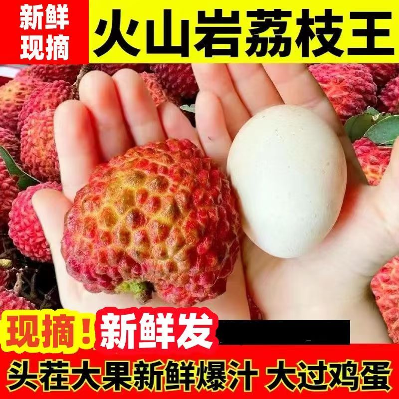 G1海南火山荔枝王个大新鲜当季水果包邮顺丰冷链