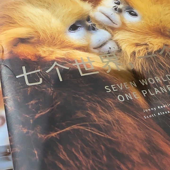 瑕疵不售后七个世界一个星球