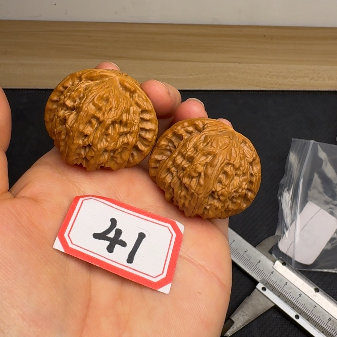 把件文玩核桃白狮子41尺