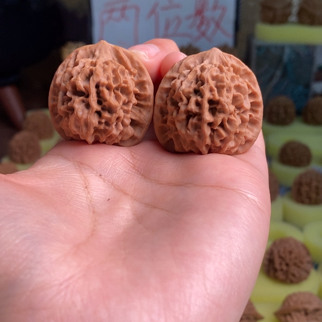 核桃秦岭闷尖狮子头34