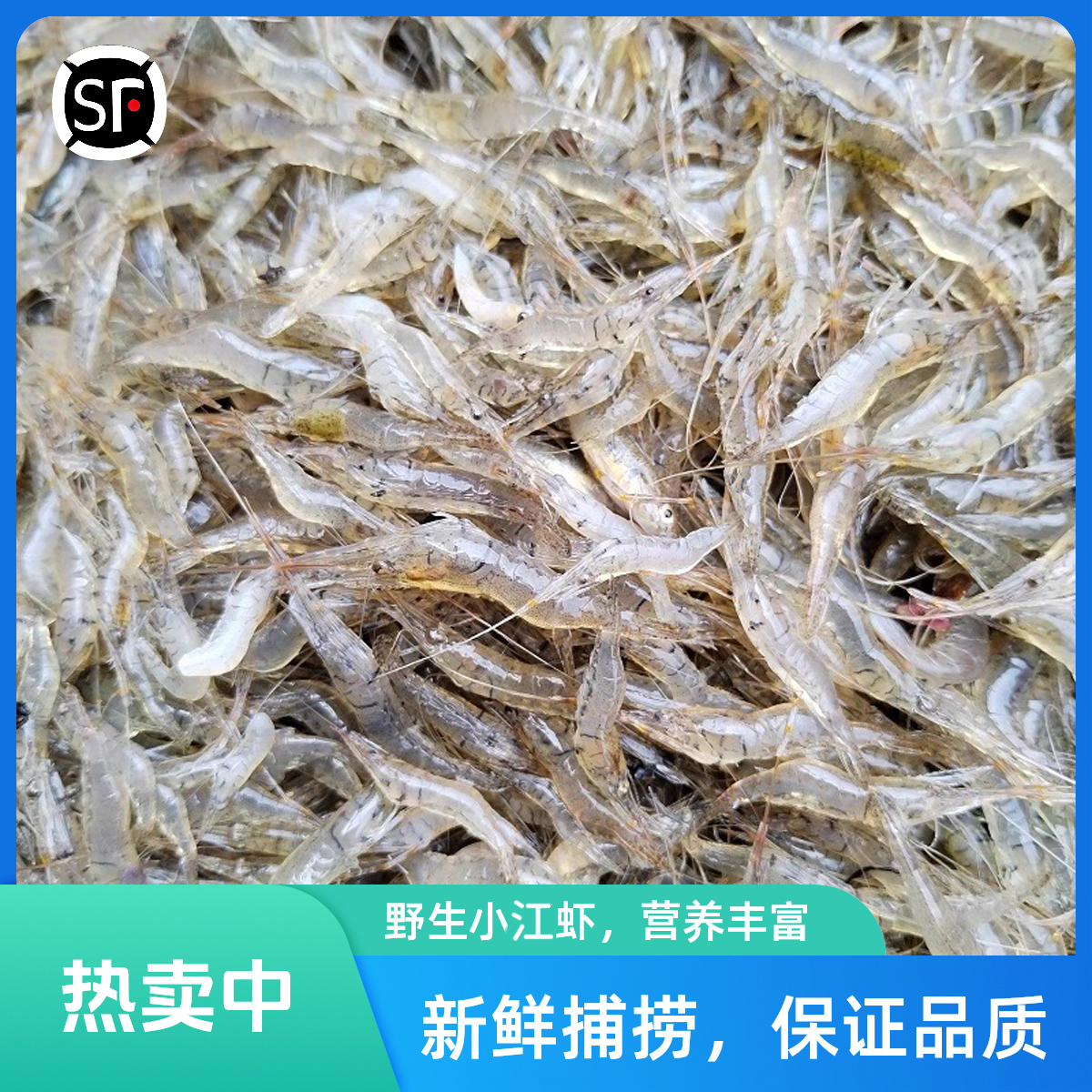东北原生态冷水小江虾活体速冻发货多规格可选