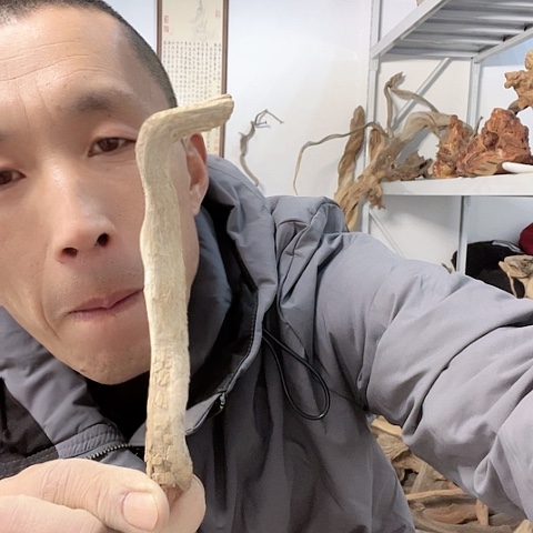 【闪购商品】柏木（崖柏）111