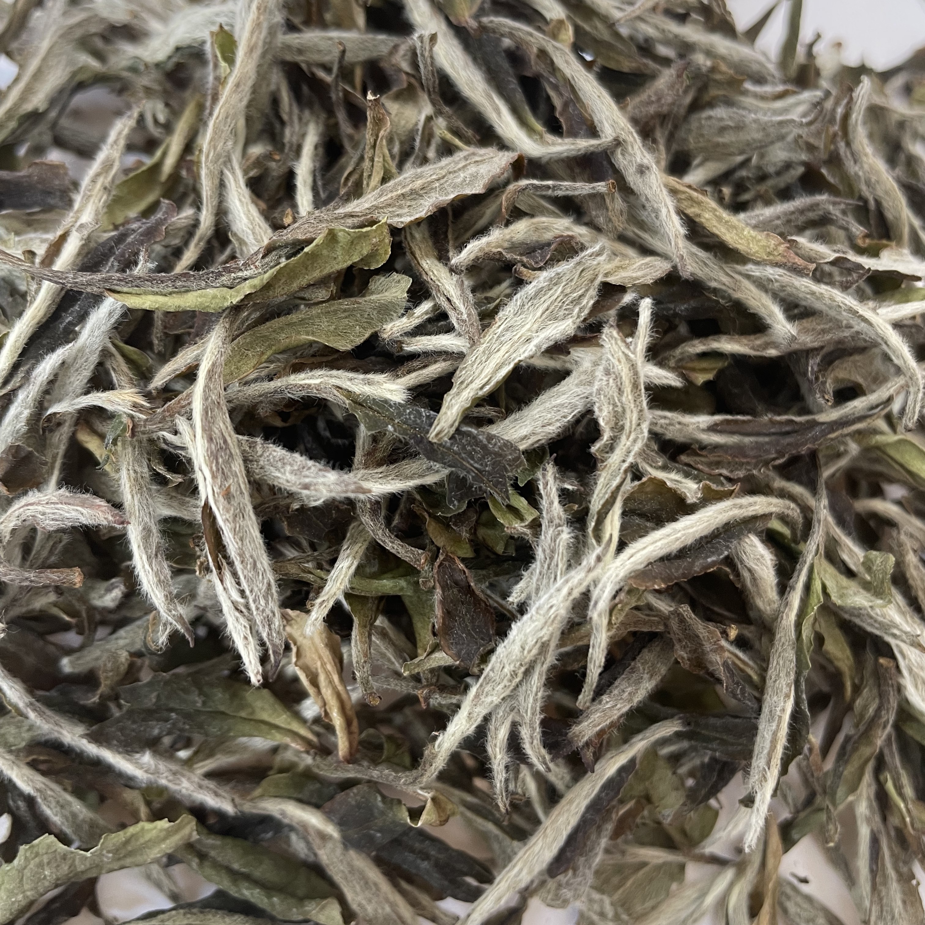 2017福鼎白茶碳焙牡丹王花香馥郁滋味香甜散茶