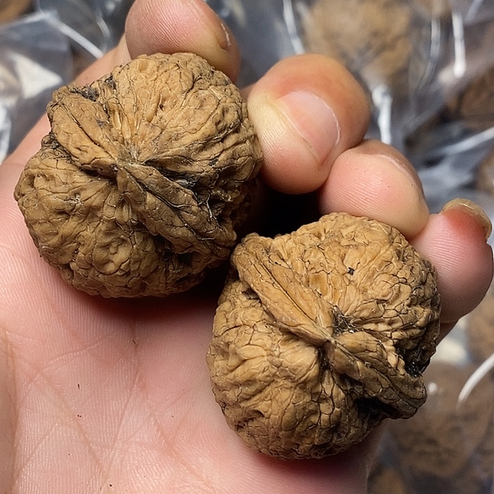 文玩核桃把件云南铁核桃17