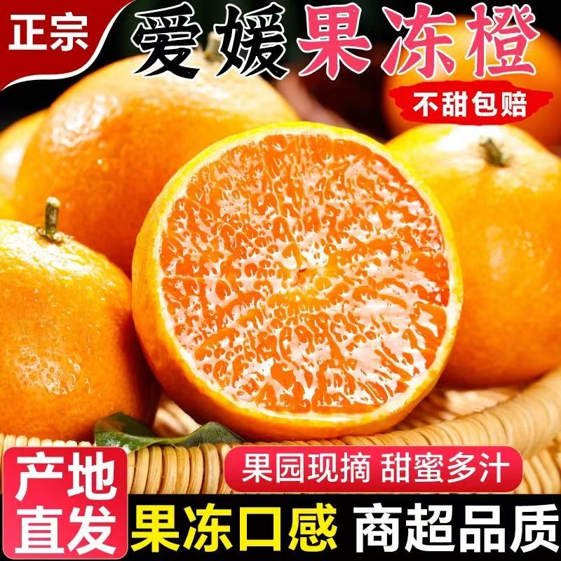 【产地直发】四川爱媛38号果冻橙新鲜应季水果细嫩多汁薄皮手剥橙
