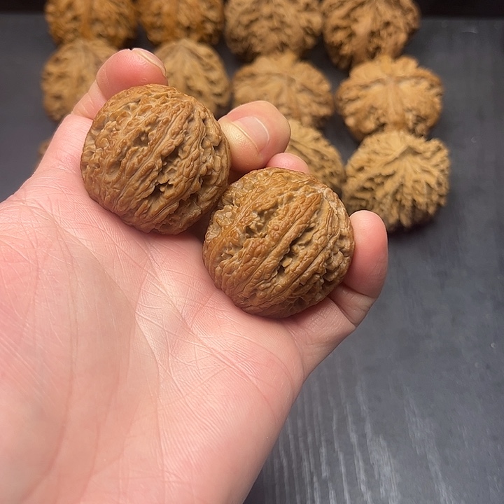 核桃秦岭山脉中段怒江与澜沧江