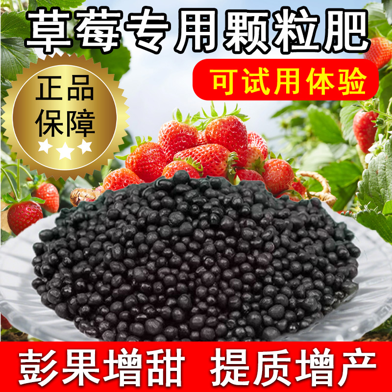 草莓专用肥有机颗粒肥适用各个品种草莓彭果上色提质增产家居园艺