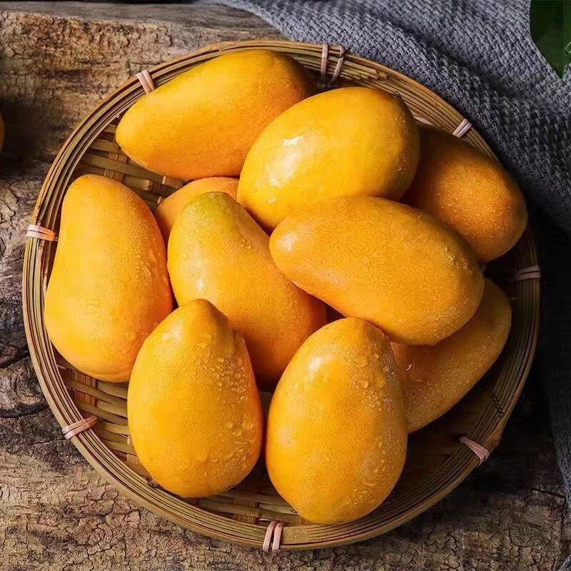 T2海南小台芒新鲜小台芒当季水果现摘芒果时令水果芒果