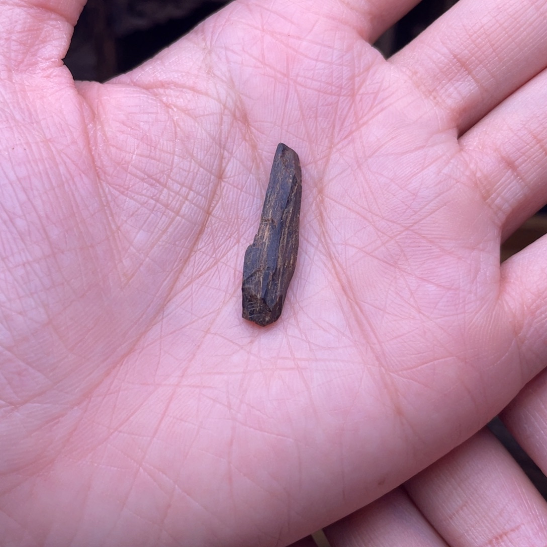 香榧木海南沉水树心0.4克