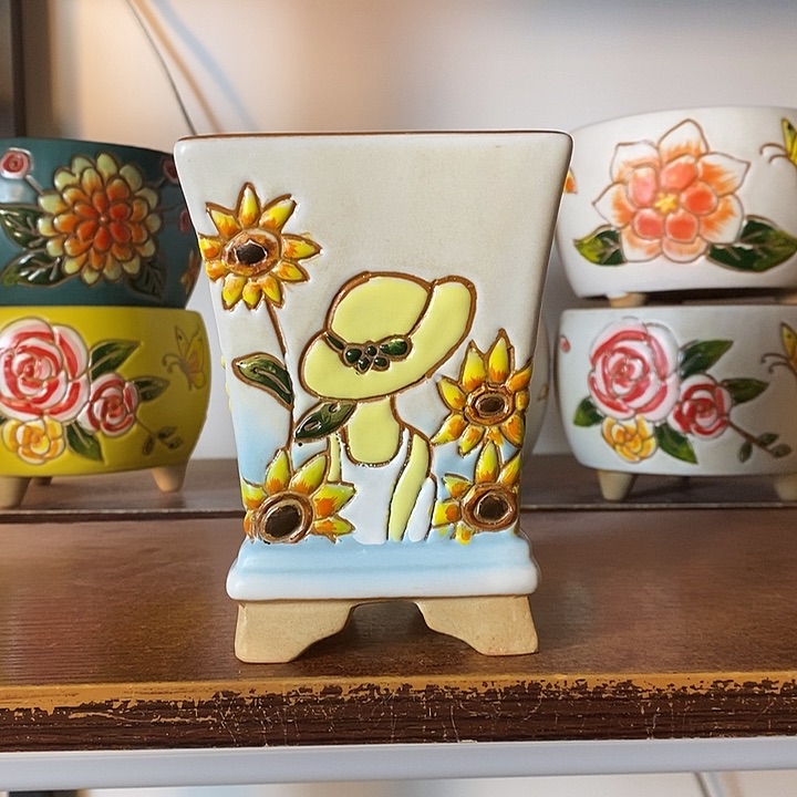 韩式多肉植物花盆