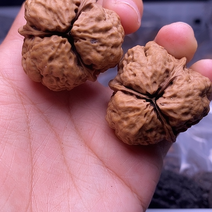 黑***崖文玩核桃把件  20