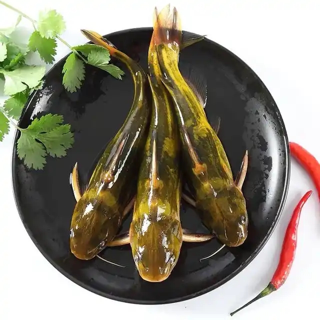 鲜活嘎鱼 黄辣丁500g/份（约3-5条）