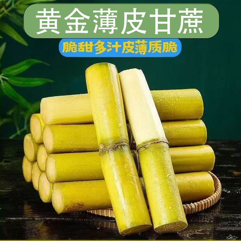 黄金甘蔗西双版纳甘蔗云南手撕甘蔗甜脆中段Z