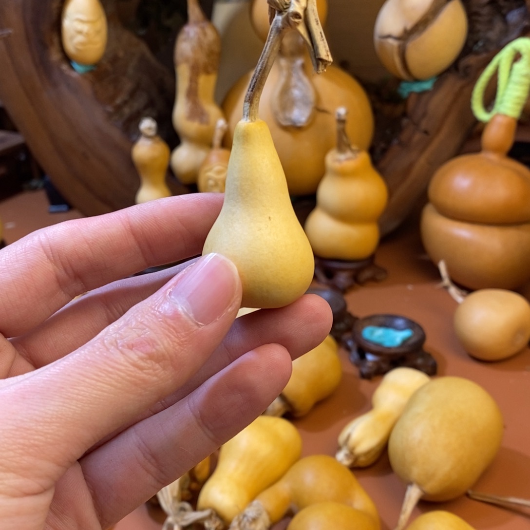 一***布兔兔教练教练教练教练