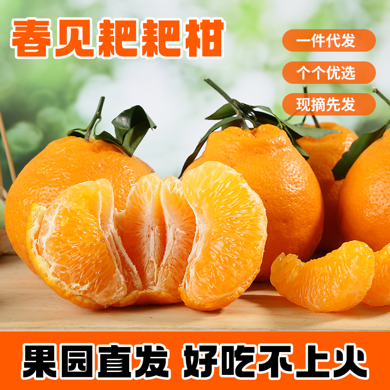 四川春见耙耙柑脆甜新鲜水果当季现采应季丑桔橙子薄皮整箱五斤装