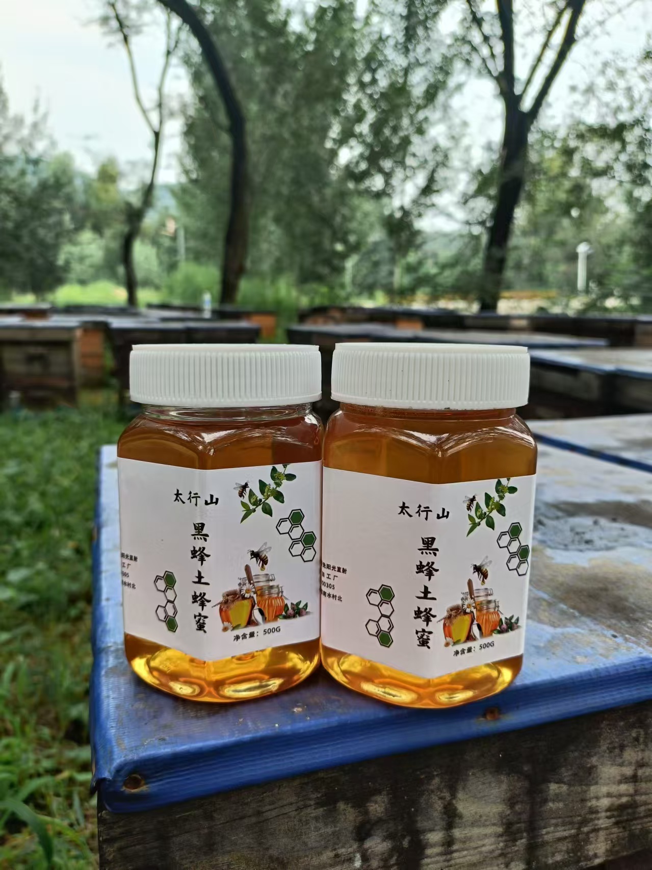 (拍一发二）太行山中华蜂土蜂蜜500克/瓶0添加成熟原蜜