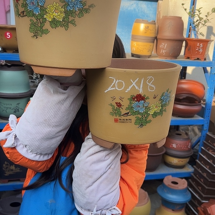 黄色花开富贵中一对花盆花盆
