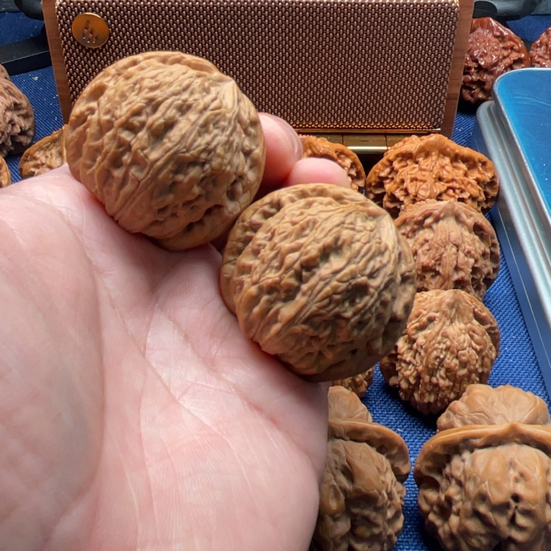 文玩核桃把件原树蛟龙