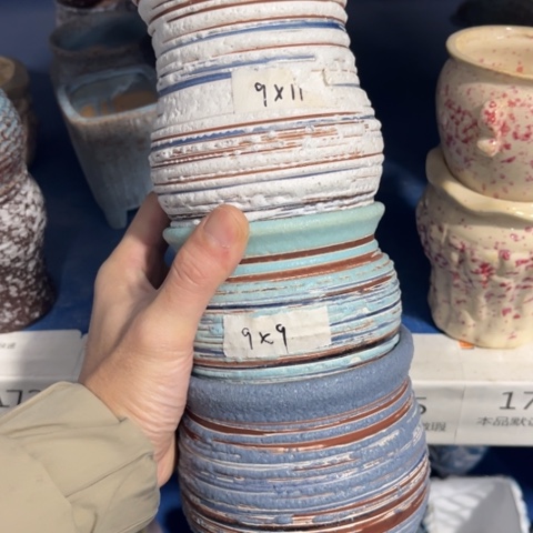 3［所有订单凑满15包邮］