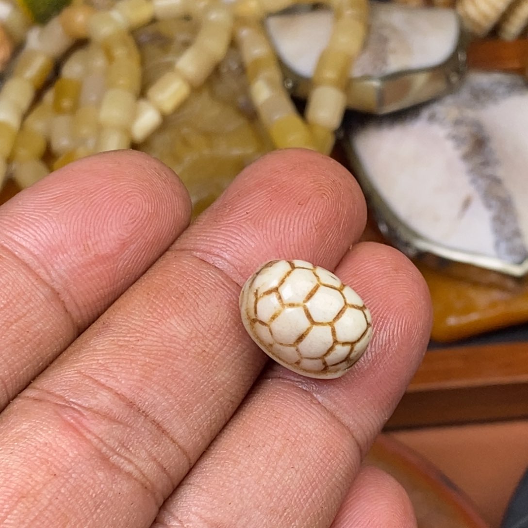 其他驼骨人工样子