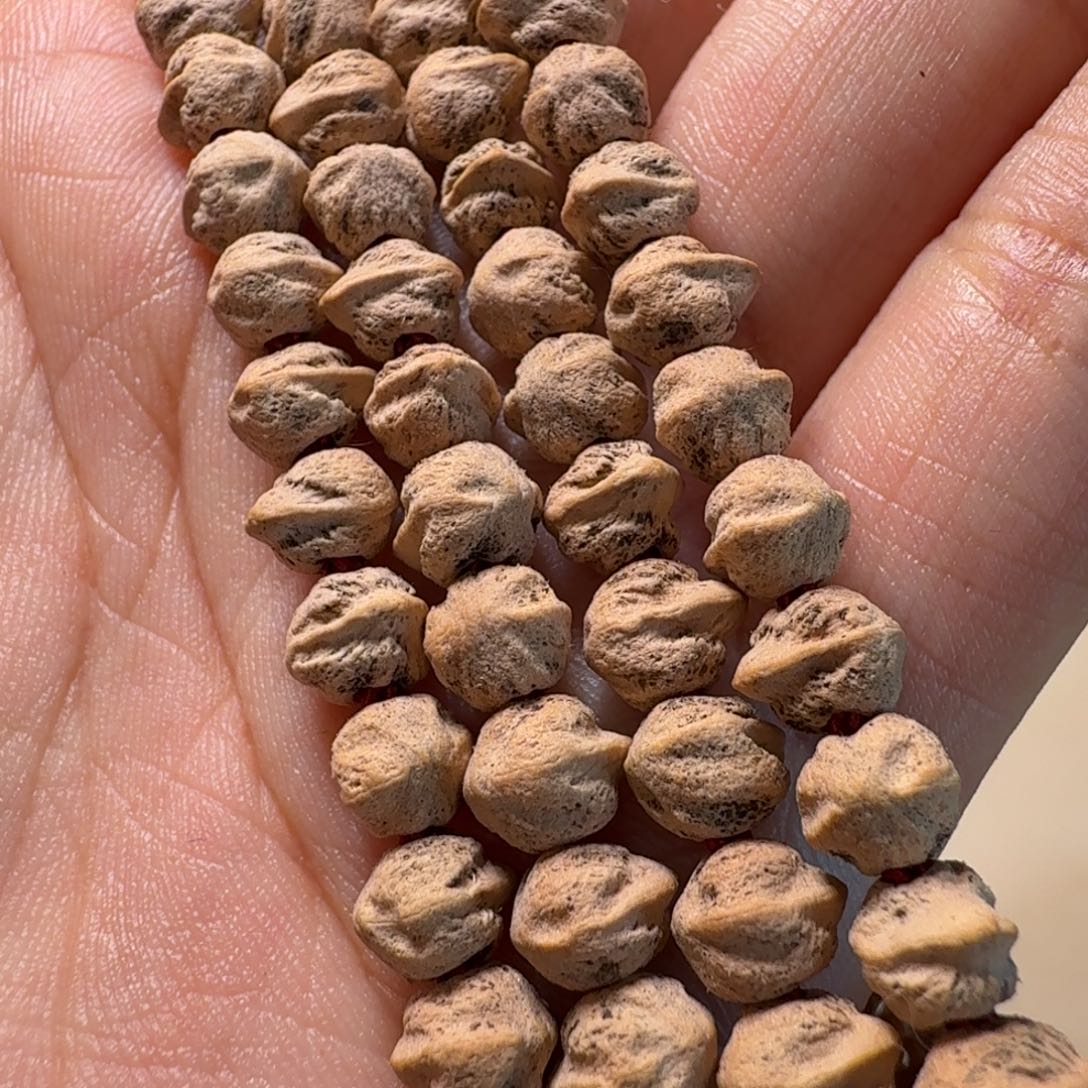 柏香籽/百香籽手串白芽横打 6