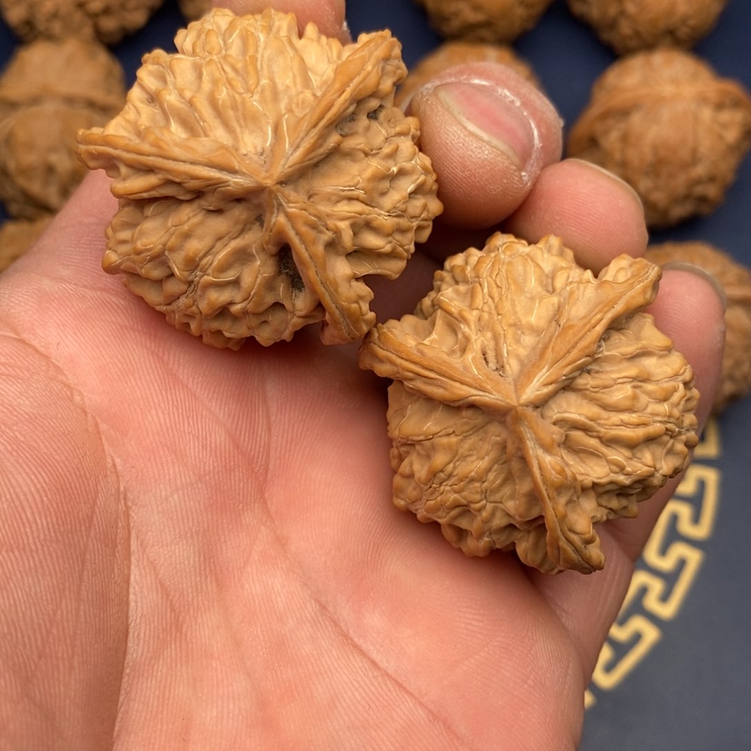 文玩核桃把件40公子帽三棱