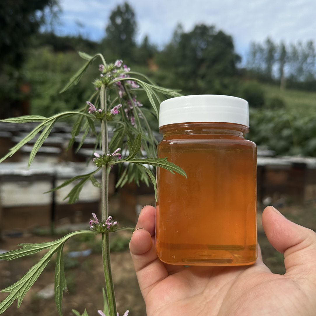 【精致女性】益母草蜂蜜秦岭自然成熟原蜜野生植被42.5度