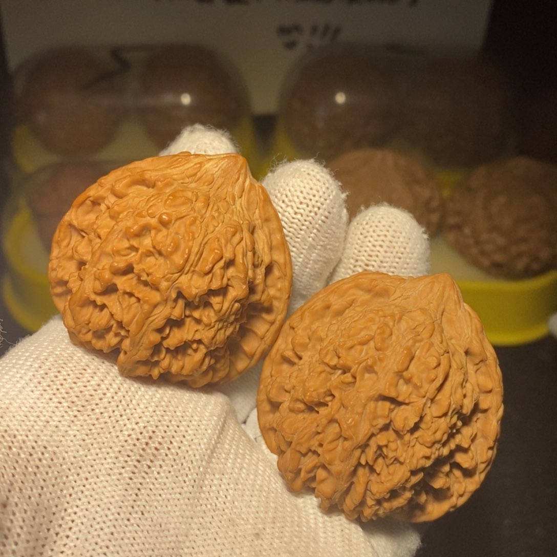百花山大凹底42尺精卡精配