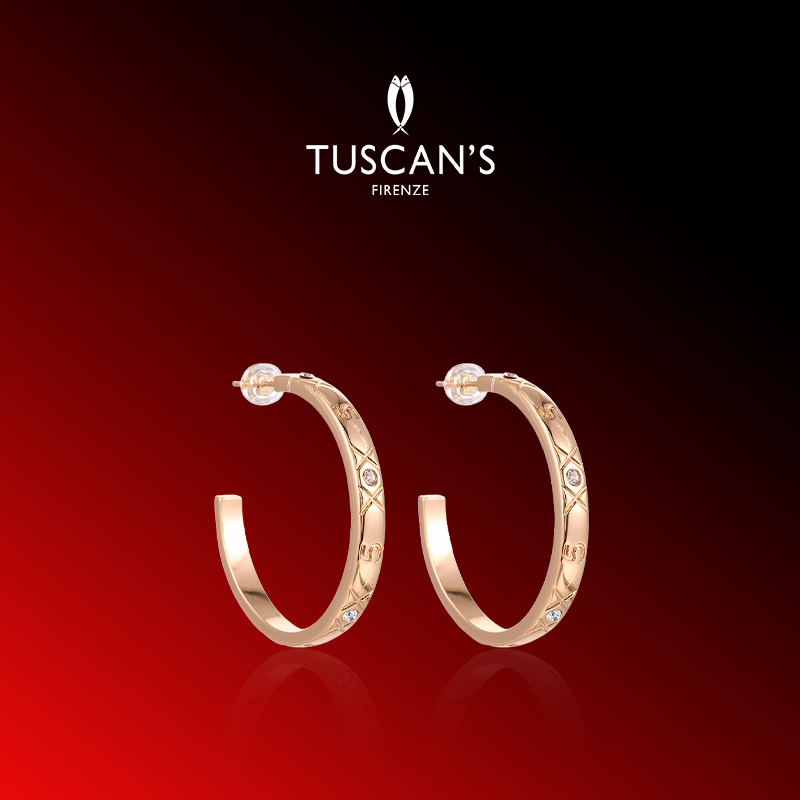 TUSCAN'S 铜合金合成锆石耳饰 金色C形法式复古耳环朋克欧美圈圈