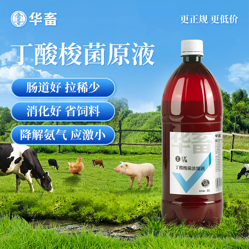 丁酸梭菌1L装枯芽孢杆菌em菌猪牛羊鸡鸭鹅畜禽调肠道Z