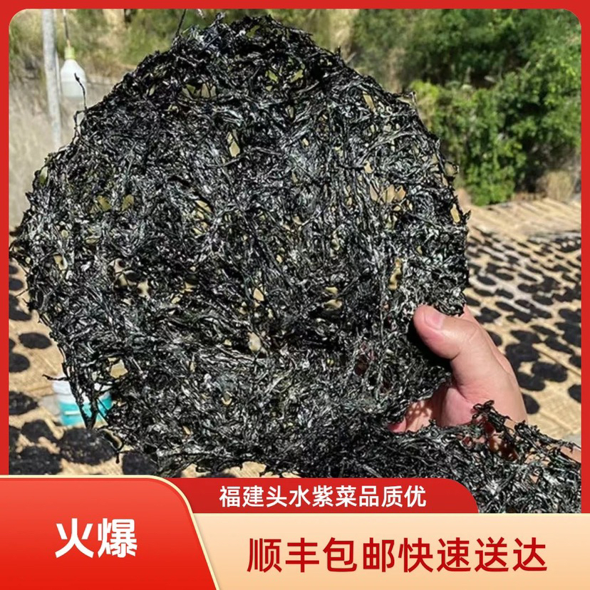 福建头水紫菜圆饼当季新货绿紫菜新鲜免洗无砂顺丰包邮