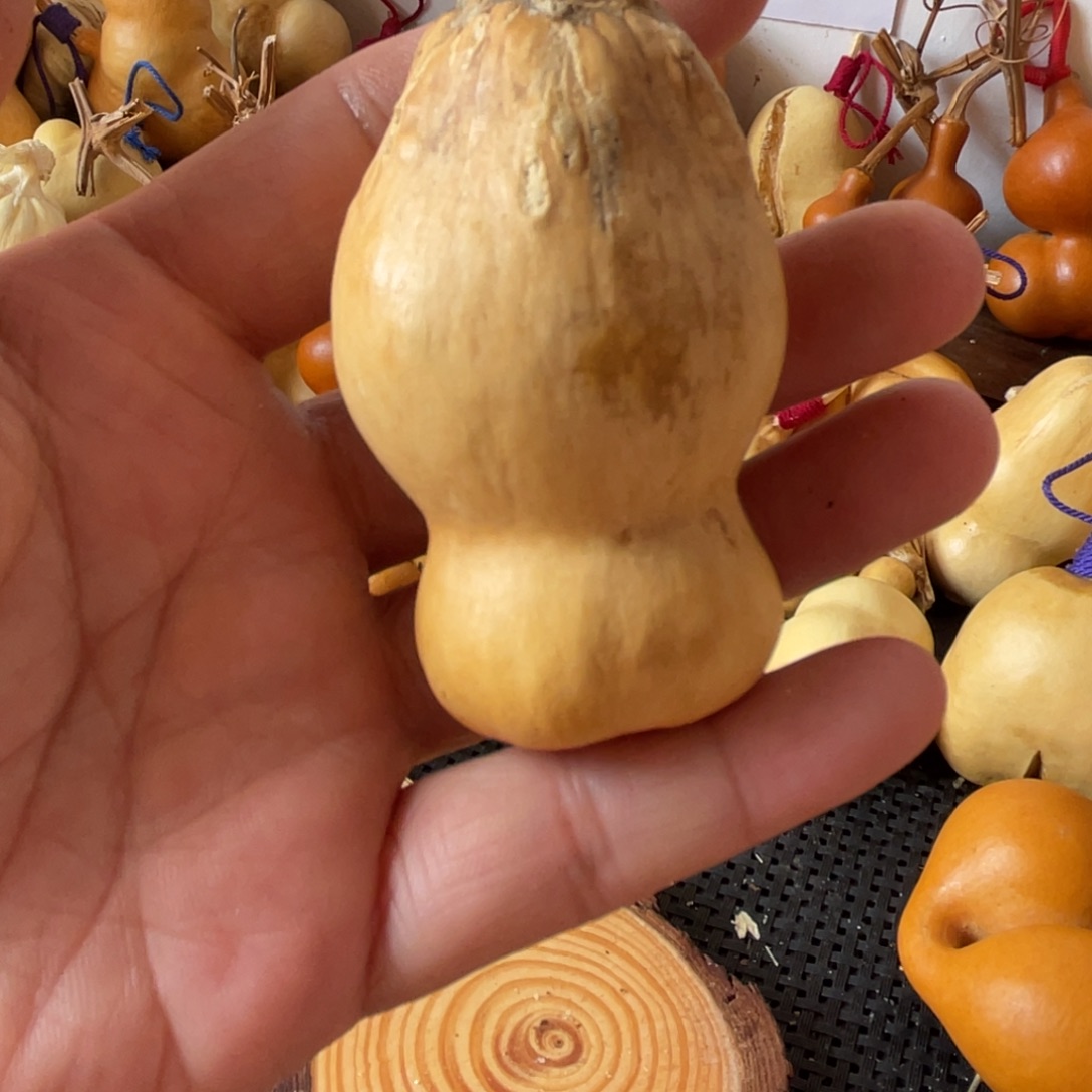 _****葫芦哈哈哈哈哈哈