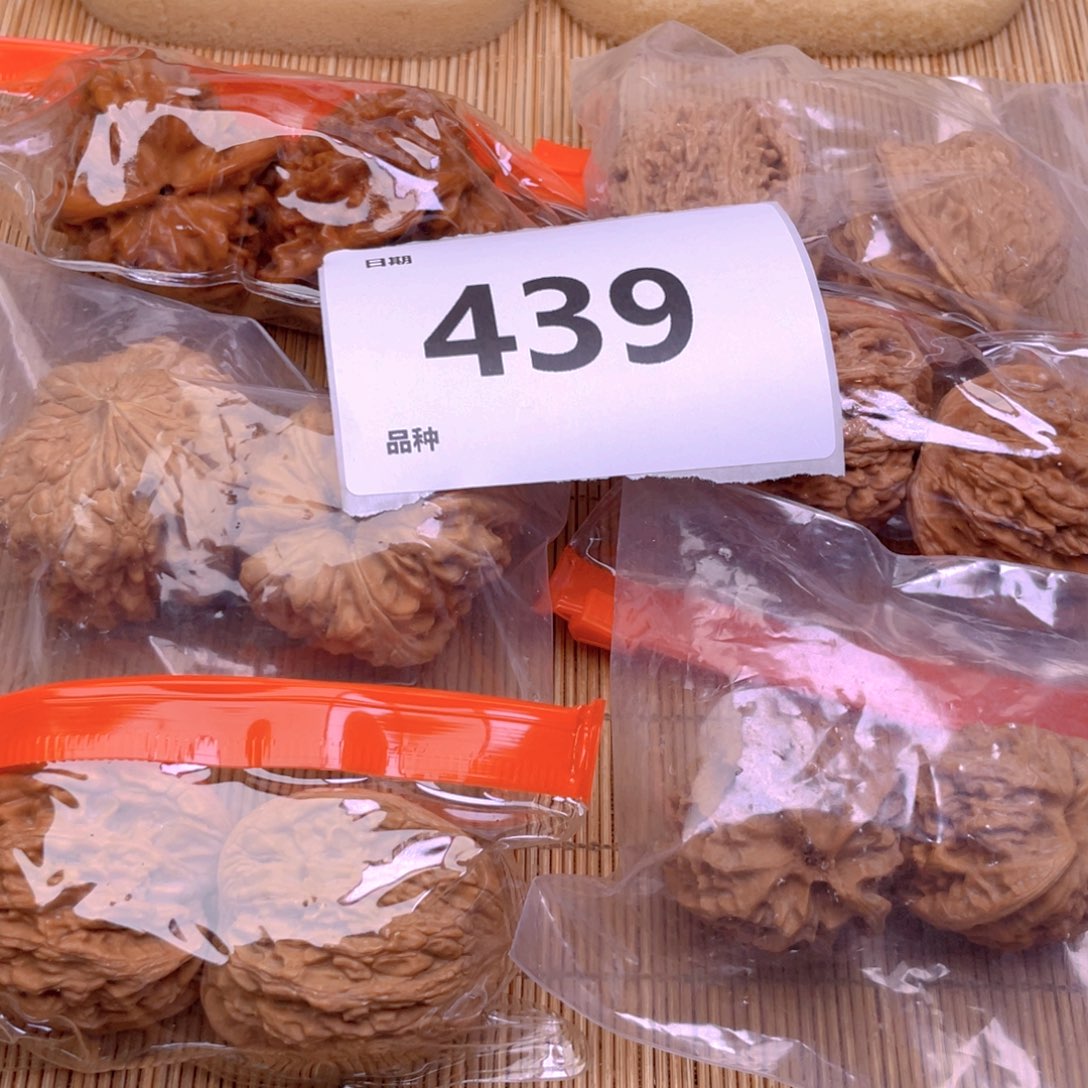 文玩核桃把件439号6对