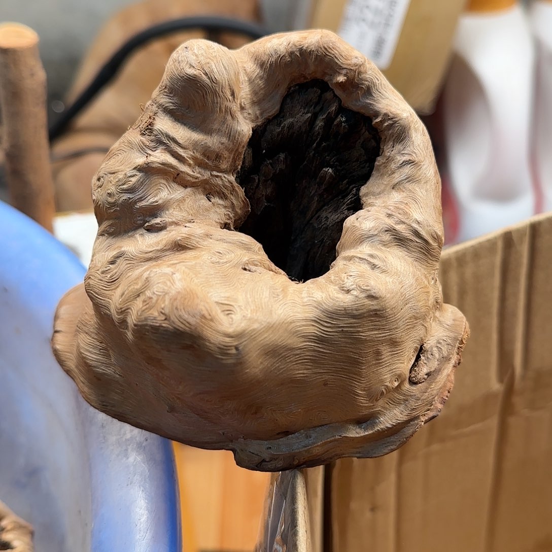 荔枝木浩*毛料毛料毛料毛料掏空