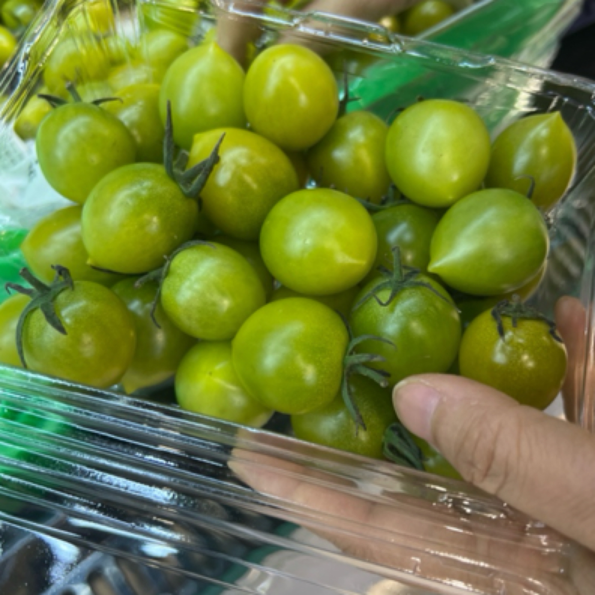 青衣小番茄柿子≈500g釜山88小番茄山东省