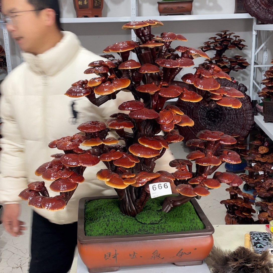 无花朵88888888888888888