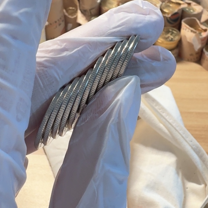 其他普通金属10枚，小5元币